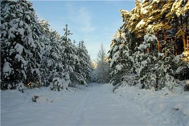 《战锤40K》开发商声明：“人类帝国”派系不是好人